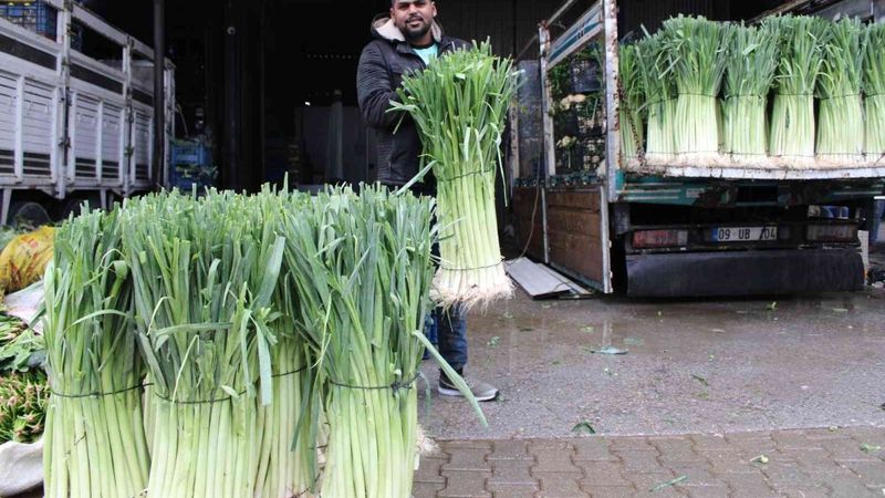 Aydın'da grip mevsimi sonrası pırasaya olan ilgi arttı