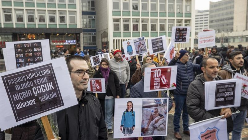 Ankara'da başıboş sokak köpeği protestosu