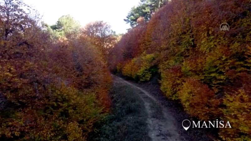 Türkiye'de sonbaharın tüm renkleri tek bir çalışmada toplandı