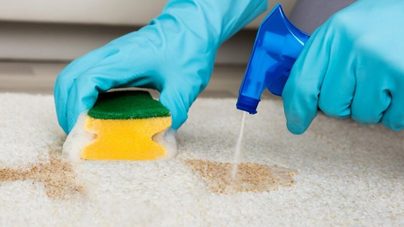 Halıdaki inatçı lekelere son! Bu yöntem tek seferde çıkarıyor... Halılarınız yeni gibi olacak!