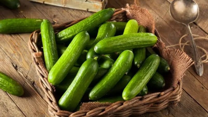 Salatalık deyip geçmeyin! Bunu okuduktan sonra salatalığa daha farklı gözle bakacaksınız…