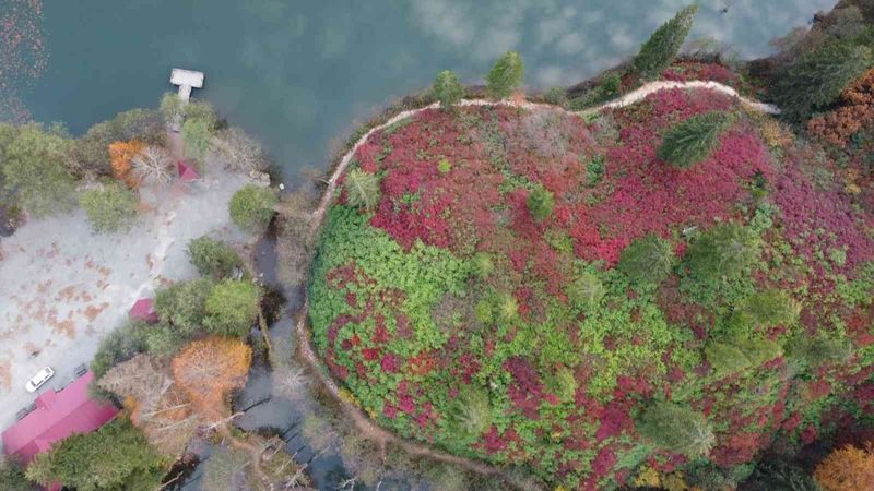 Borçka ve Şavşat Karagölleri bu yıl 140 bin kişiyi ağırladı