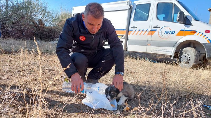 Van'da 2 yavru köpek 20 metrelik kuyudan düştü