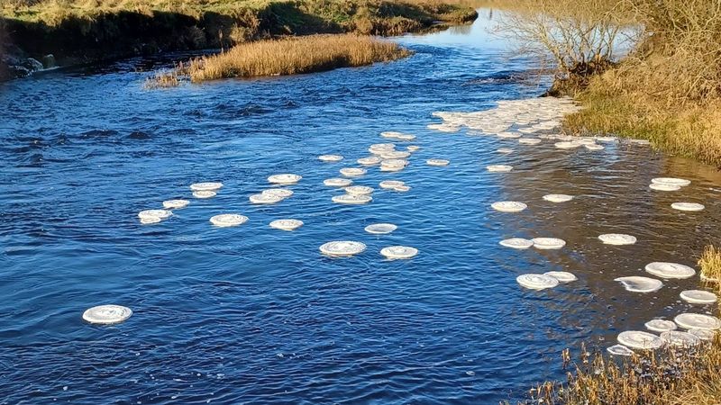 İskoçya'da görülen 'buz pankekleri' şaşırttı