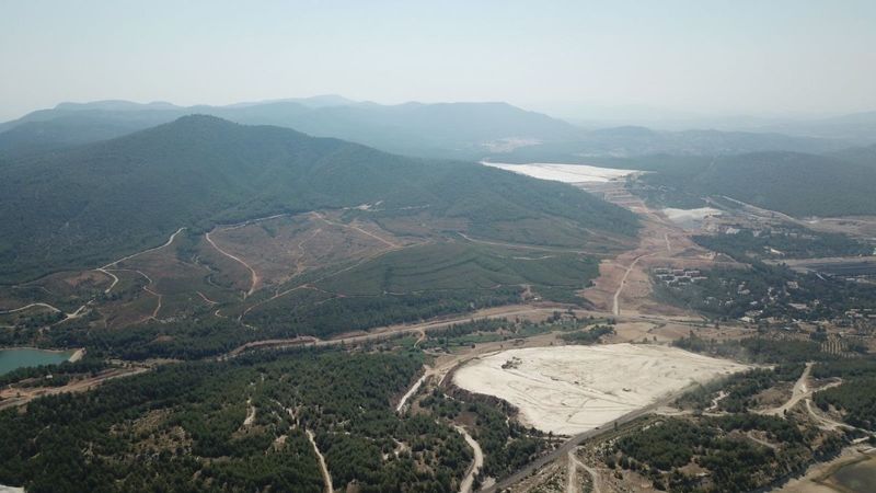 “Ağaç tarımı” yapılarak ekolojik ormanları korumak mümkün