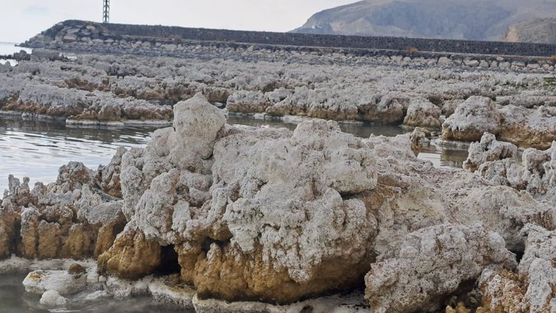 Bitlis'te kuraklık sonrasında mikrobiyalitler gün yüzüne çıktı