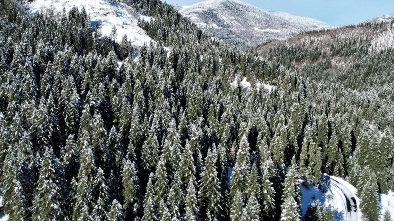 Kastamonu'da karla kaplanan Yaralıgöz Dağı kamerada