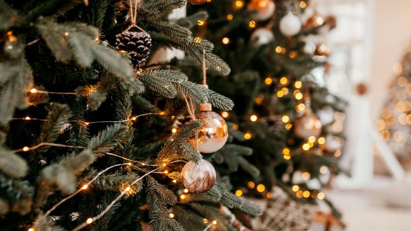 Türk halkının yüzde 85'i yılbaşında ağaç süslemiyor