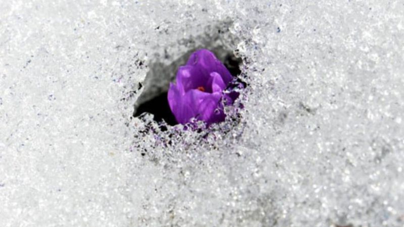 İlk cemre ne zaman düşecek? 