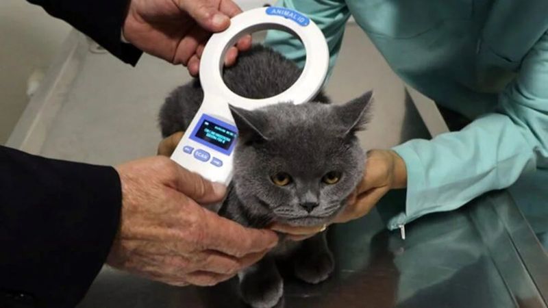 Hayvanlara çip takma süresi ne zaman bitiyor? 