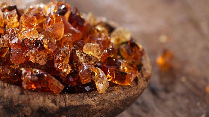 Şifalı şekerleme: Arap zamkı nedir, faydaları nelerdir? 