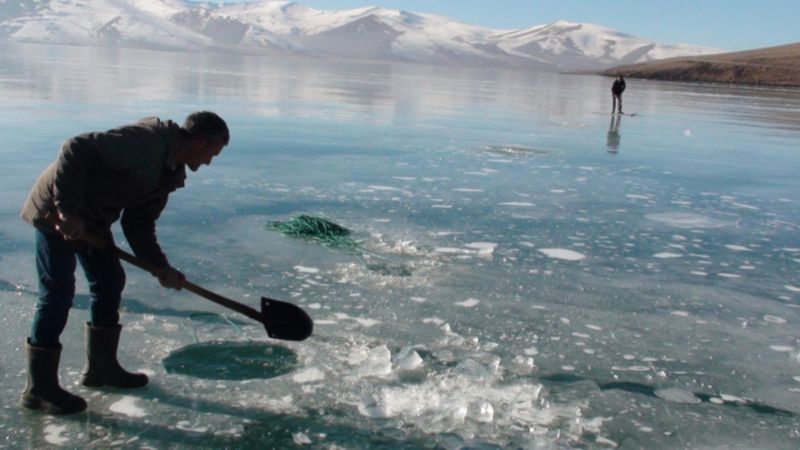 Çıldır Gölü'nde Eskimo usulü balık avı başladı