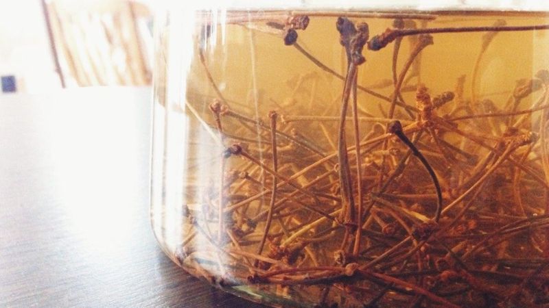 Tıp dünyası şaşkın! Kayısıyı unutun,1 bardağı tembel bağırsakları coşturuyor...