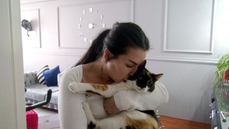 Avcılar'da evde mahsur kalan kediyi itfaiye kurtardı