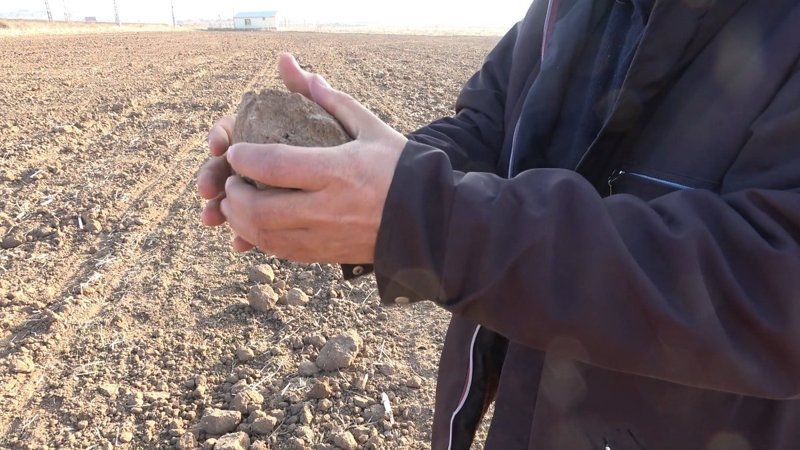 Kırıkkale'de şiddetli kuraklık toprağı kuruttu