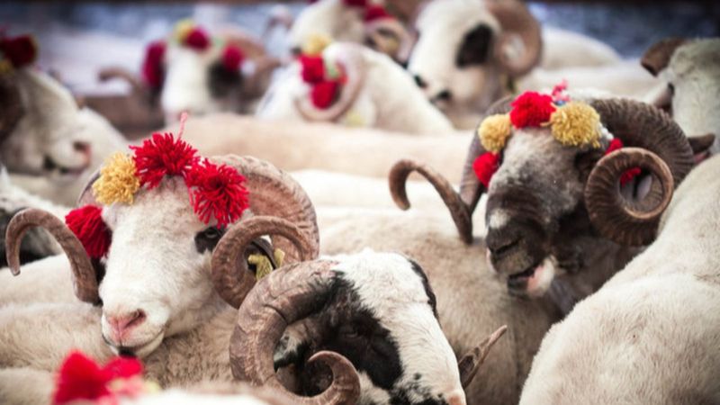 2023 Ramazan ve Kurban Bayramı ne zaman? 