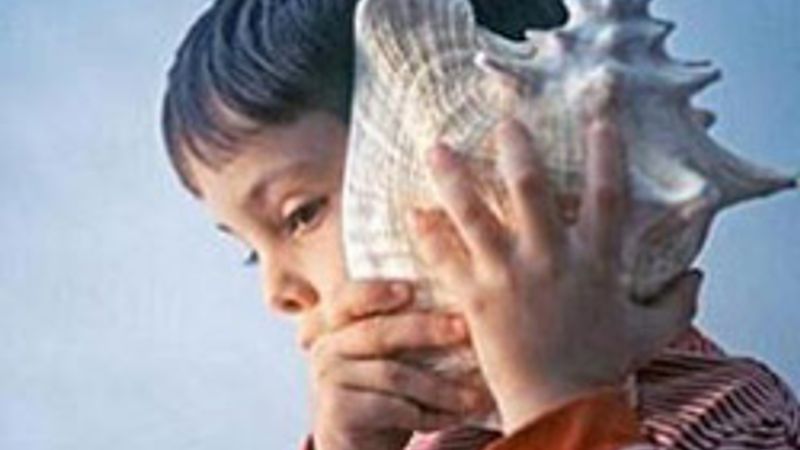 Türkçe işaret dili alfabesi hazır