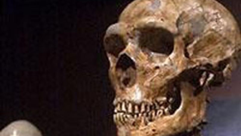 Tarihin ilk cinayeti