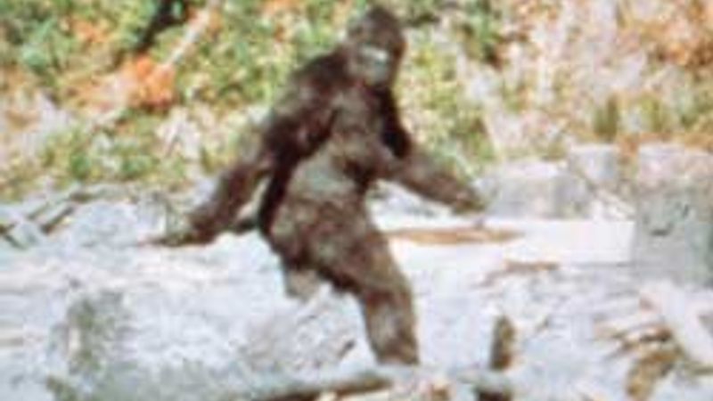 Kocaayak efsanesi gerçek mi