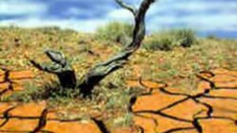 Türkiye için ürküten tahmin