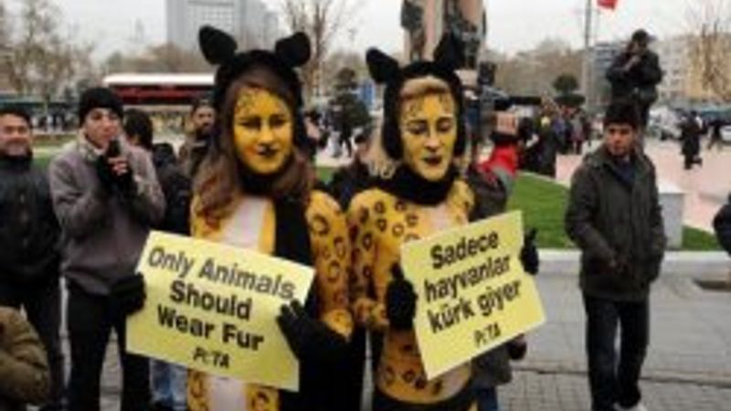 Taksim'de yarı çıplak eylem - Galeri