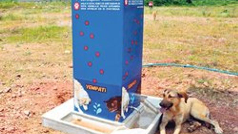 Sokak hayvanlarına otomatik yem istasyonu