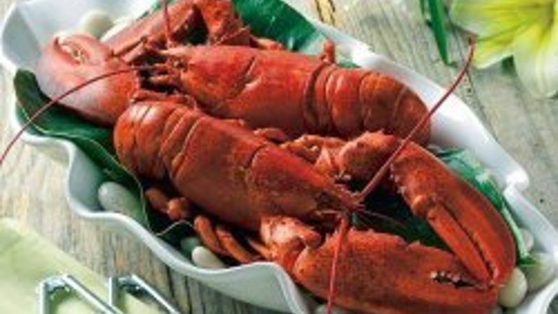 Istakoz neden canlı olarak pişirilir?