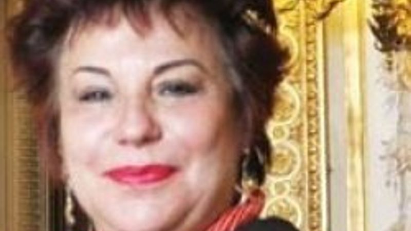 Fransız senatör: 50 azgın bunu oylasın