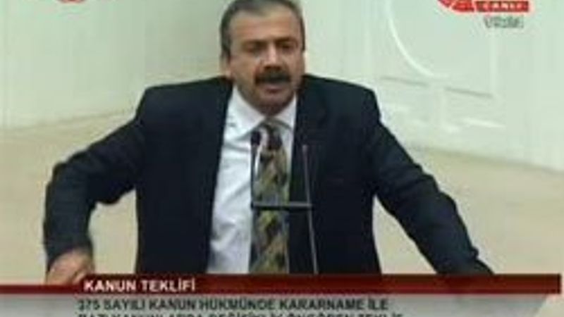 Sırrı Süreyya Önder Metiner'in üzerine yürüdü – İzle