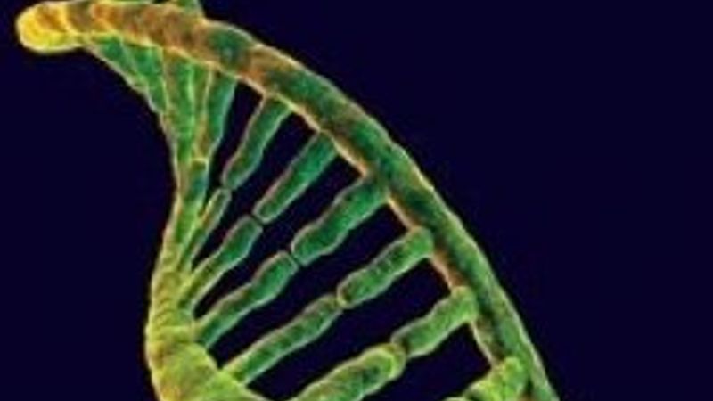 Türklerin gen haritası çıkarıldı