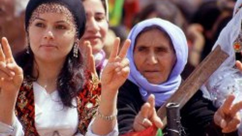 Güneydoğu'da yapılan Kürtler ne istiyor anketi