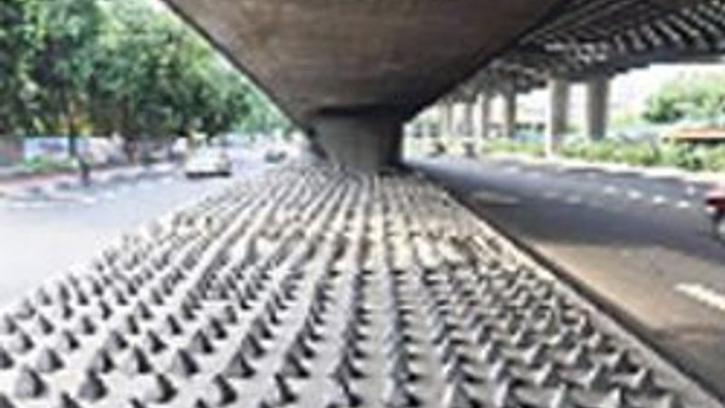 Çin'de evsizlere uygulanan Çin işkencesi