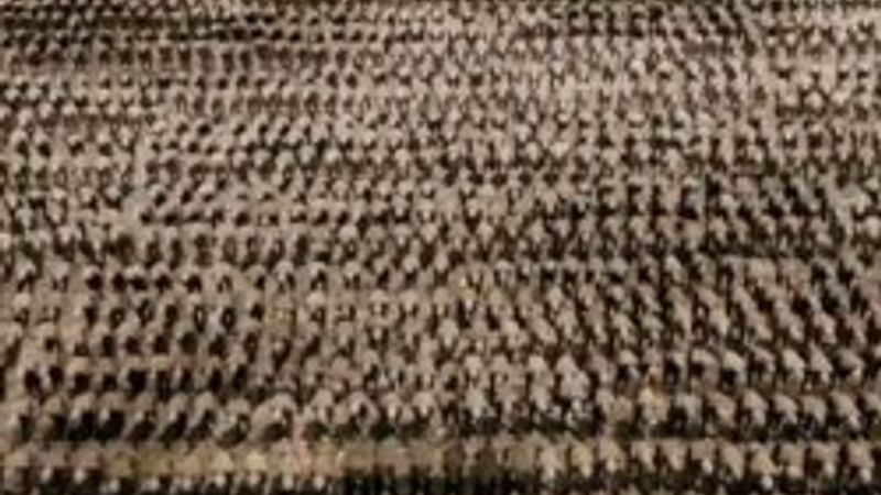 Çanakkale 1915 filmine ilk yorumlar