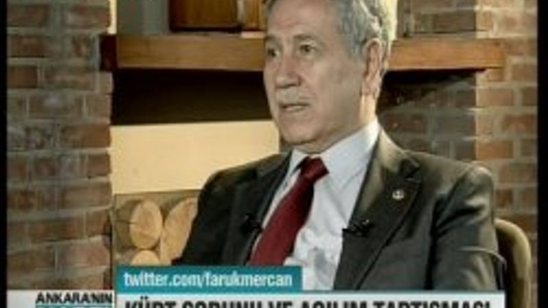 Arınç: BDP'li vekilin yaşadığını yaşasam dağa çıkardım