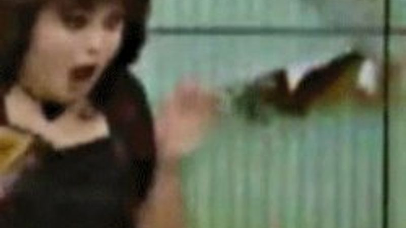 Esra Ceyhan'ın konuğu canlı yayında bayıldı