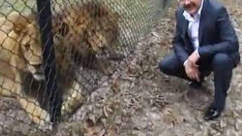 Melih Gökçek'ten aslanlı mesaj - Video