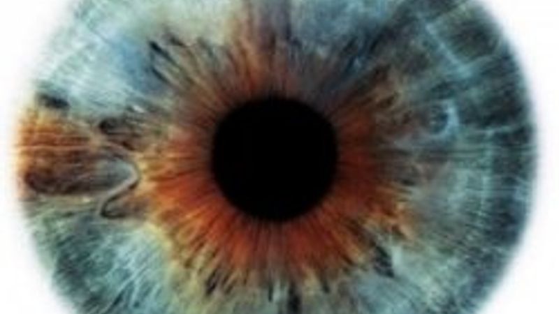 Renkler nasıl oluşur