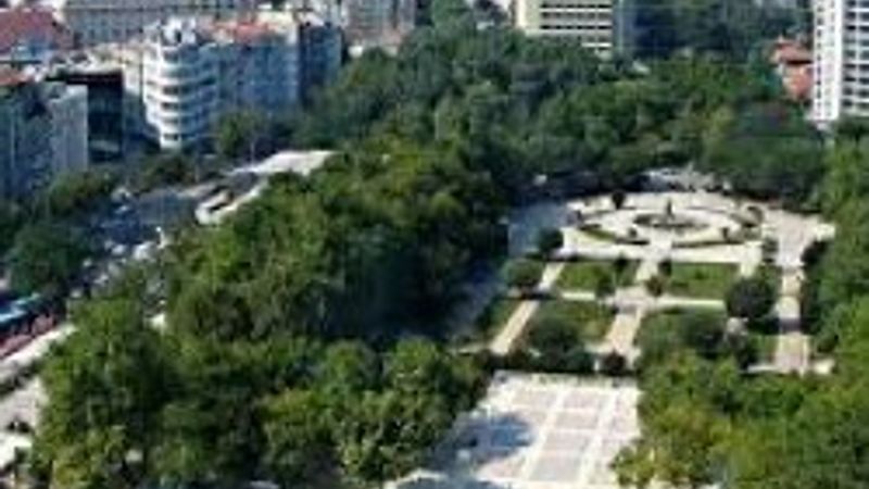 Türkiye'ye ne kadar ağaç dikildi polemiği