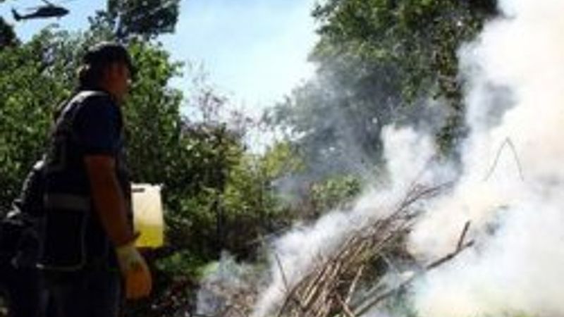 Diyarbakır'da 1000 kişiyle uyuşturucu operasyonu