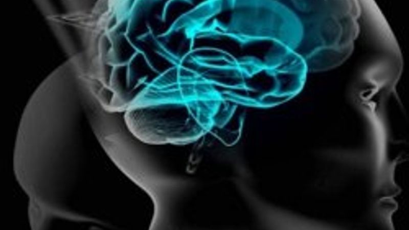 İnsan beyninin kapasitesi açıklandı