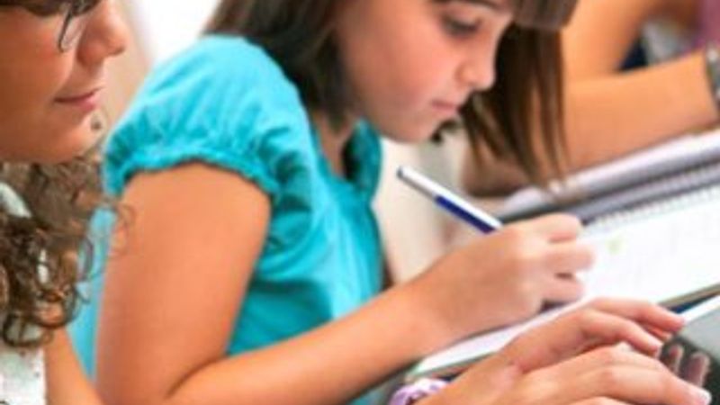 MEB eğitim istatistiklerini açıkladı