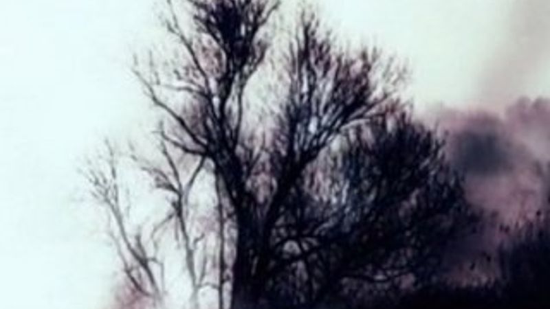 720 saatlik filmin 72 dakikalık fragmanı yayınlandı İZLE