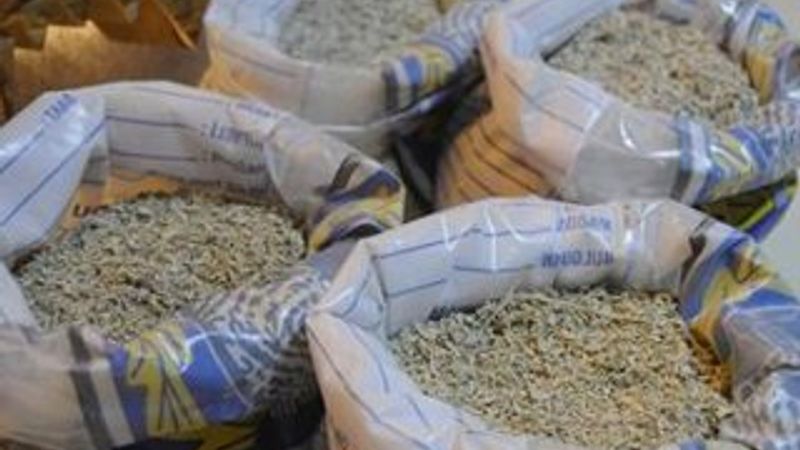 Bonzainin yeni kod adı: Jale