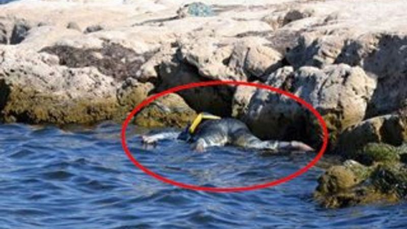 Tunus'ta 38 ceset kıyıya vurdu