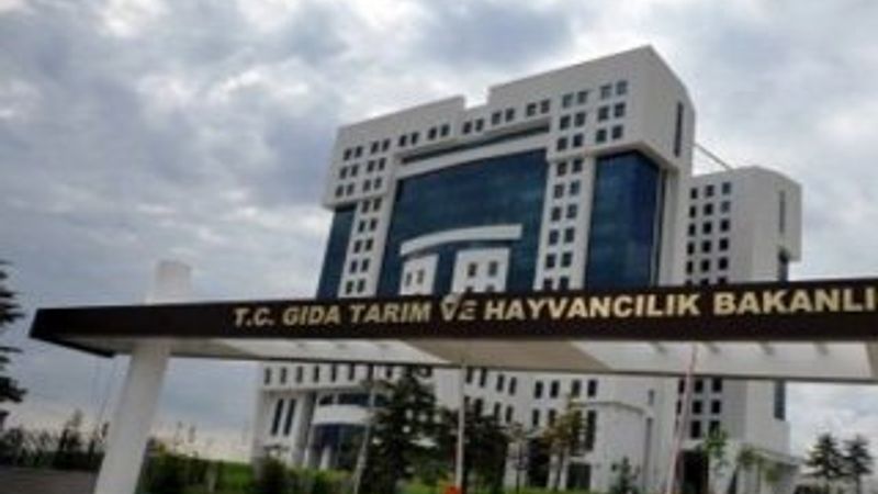 Ankara'da bakanlık binasında göçük