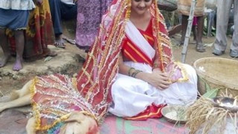 Hindistan'da 18 yaşındaki kızı köpekle evlendirdiler İZLE