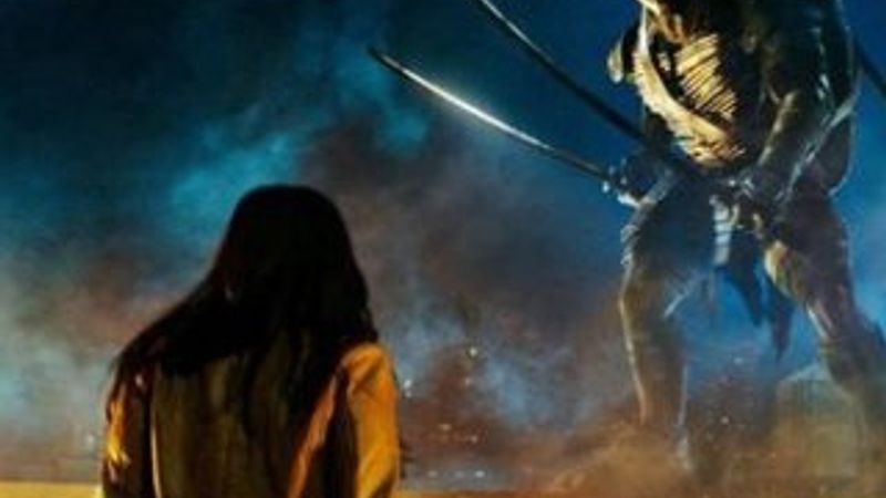 Zirve Ninja Kaplumbağalar'ın