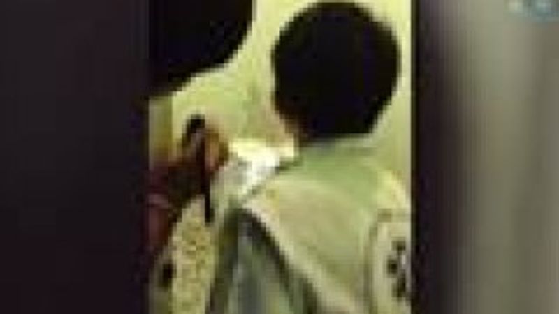 Klozetten yılan çıktı - İzle