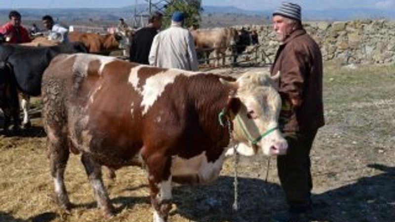 Kurbanlık satış fiyatları açıklandı