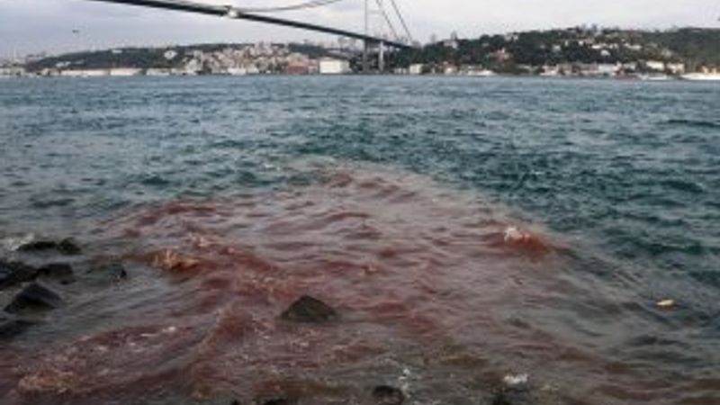 Doğan Medyası'nın geleneksel kurban haberi